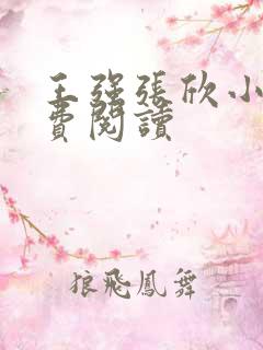 王强张欣小说免费阅读