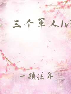 三个军人1v3
