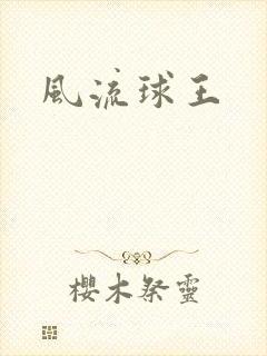 风流球王