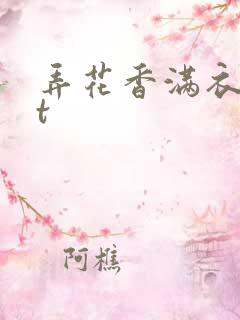 弄花香满衣txt