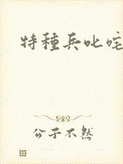 特种兵叱咤异界