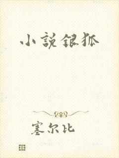 小说银狐