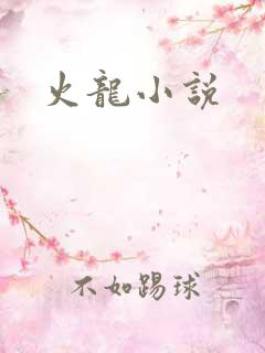 火龙小说