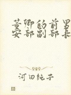 董卿的前男友公安部副部长