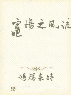 官场之风流人生吧