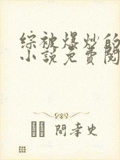 综被爆炒的日常小说免费阅读