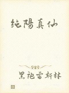 纯阳真仙