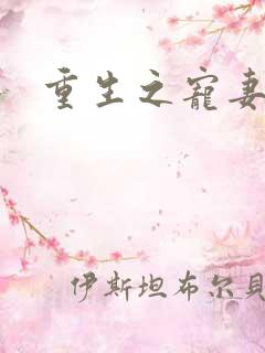 重生之宠妻有毒