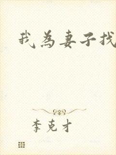 我为妻子找男妓