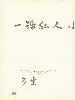 一号红人 小说