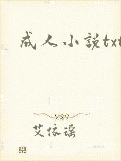 成人小说txt