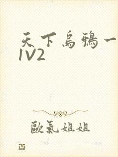 天下乌鸦一般黑1V2