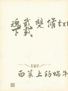 魂武双修txt下载