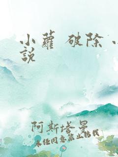 小萝 破除 小说