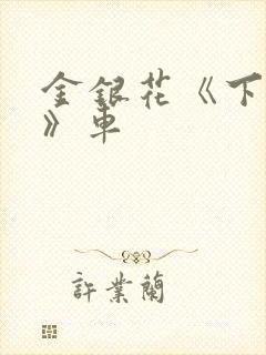 金银花《下厨房》车