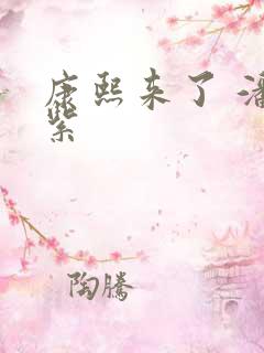 康熙来了 潘迎紫