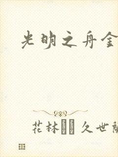 光明之舟金手指