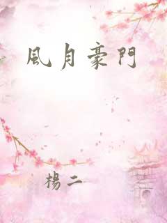 风月豪门