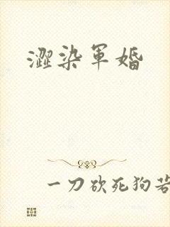 涩染军婚