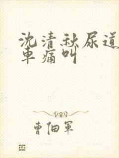 沈清秋尿道扩张车痛叫