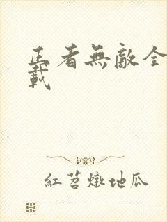 正者无敌全集下载