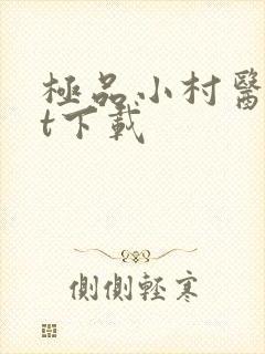 极品小村医txt下载