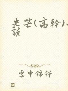 光芒(高干)小说