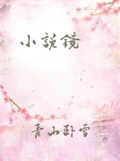 小说镜