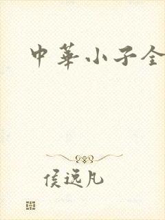 中华小子全集