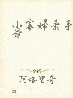 小寡妇素手擒四爷