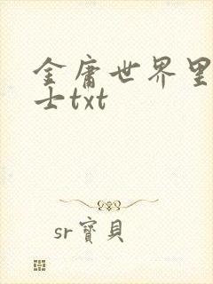 金庸世界里的道士txt
