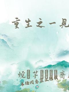 重生之一见倾心