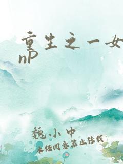 重生之一女九龙nP