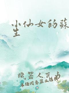 小仙女的苏撩先生