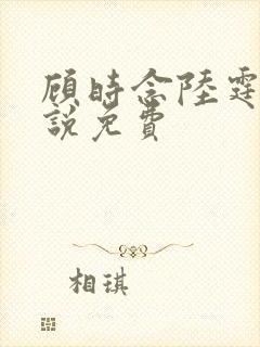 顾时念陆霆骁小说免费