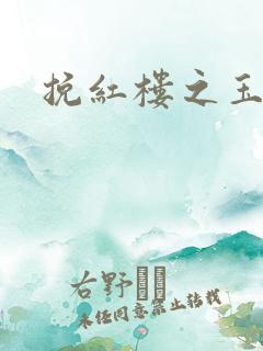 挽红楼之玉亦狂