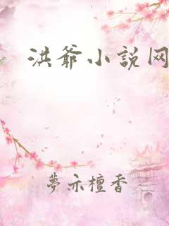 洪爷小说网