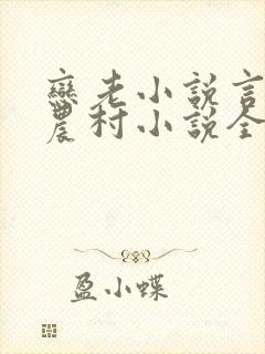 恋老小说言情网农村小说全文阅读