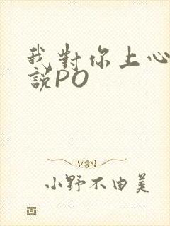 我对你上心了小说PO