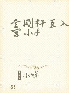 金刚杵直入莲花宫小f