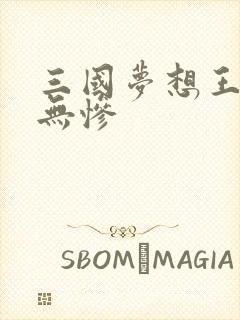 三国梦想王元姬无惨