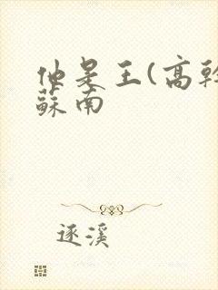 他是王(高干)苏南