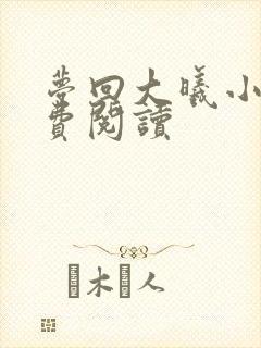 梦回大曦小说免费阅读