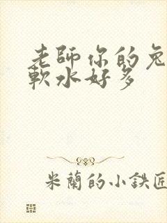老师你的兔子好软水好多