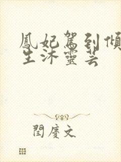 凤妃驾到倾倒众生沐灵芸