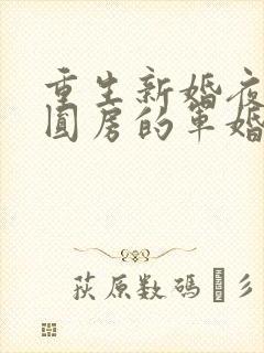 重生新婚夜正在圆房的军婚小说