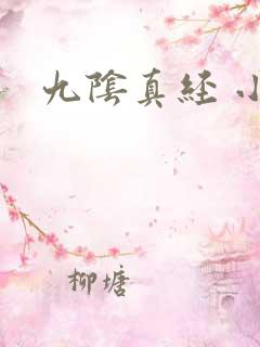 九阴真经 小说