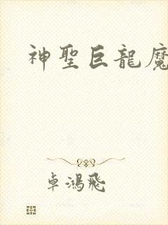 神圣巨龙魔法师