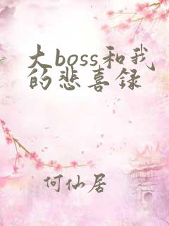 大boss和我的悲喜录