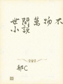 世间万物不及你小说